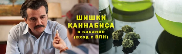 ГАЛЛЮЦИНОГЕННЫЕ ГРИБЫ Касимов