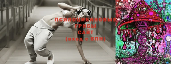 шишки Карпинск