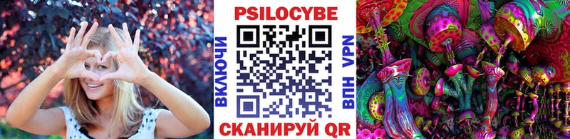 Псилоцибиновые грибы GOLDEN TEACHER  Купить закладки  Новый Уренгой 